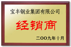 金塔宝丰经销商